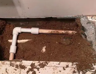 祥符测漏水哪家好