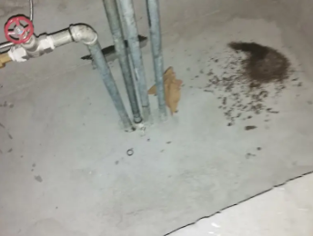 祥符卫生间测漏水价格明细