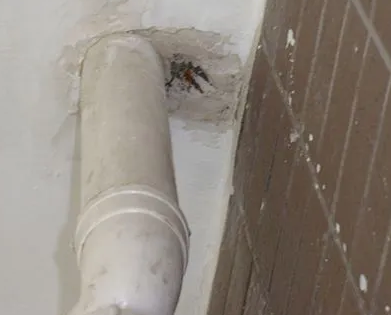 祥符漏水检测哪家好